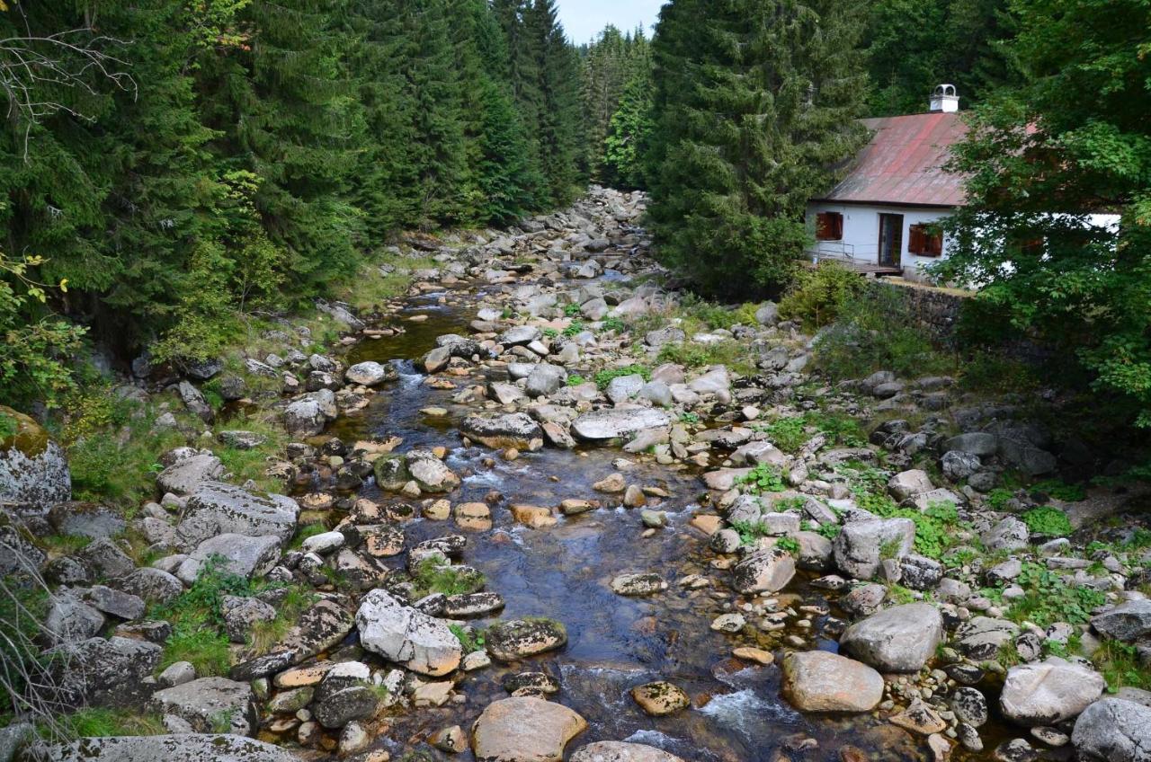 Chata - Sport - Ski Kořenov Exterior foto